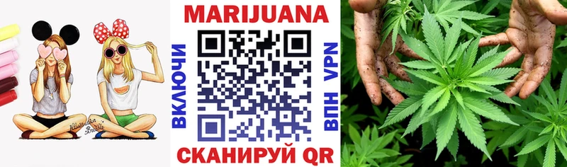 Конопля MAZAR  Наволоки 